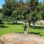 Am Gallowayhof Apartmán Seehausen (Uckermark)