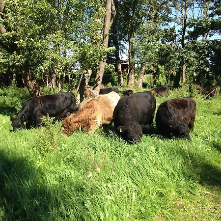 شقة Am Gallowayhof *