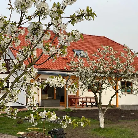 Apartment Am Gallowayhof *