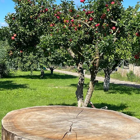 Am Gallowayhof アパート Seehausen