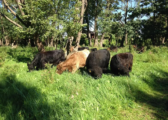 Appartamento Am Gallowayhof *