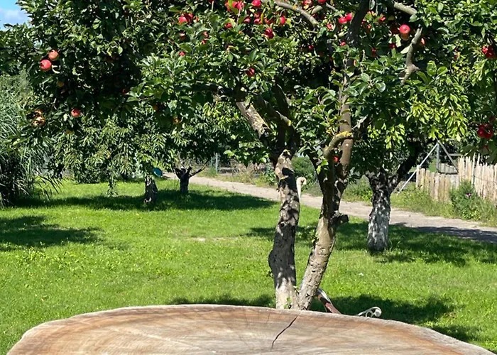 Am Gallowayhof شقة Seehausen (Uckermark)