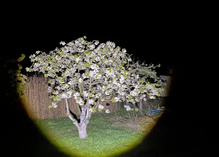 Am Gallowayhof شقة